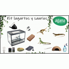 Kit completo para lagartos y saurios